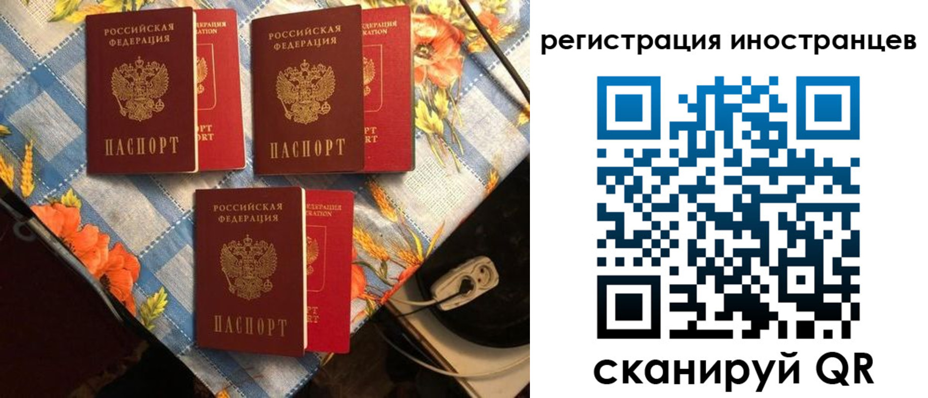 прописка поиск в Сухиничи